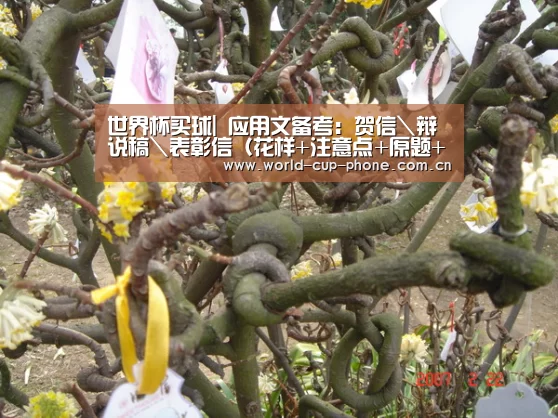 世界杯买球|
应用文备考:贺信\辩说稿\表彰信(花样+注意点+原题+范文)(图1) 2026世界杯官网