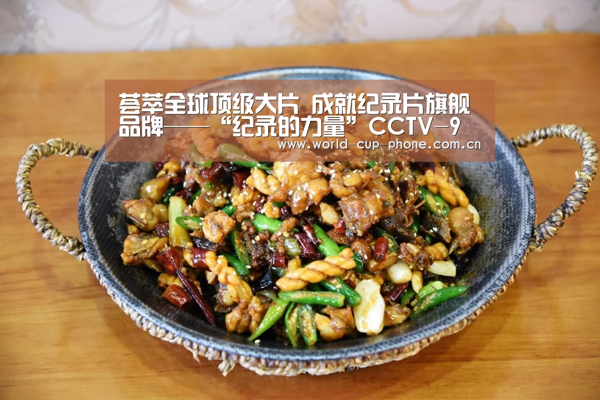 荟萃全球顶级大片 成就纪录片旗舰品牌——“纪录的力量”CCTV-9广告推介会在厦门举行_2026世界杯官网(图2) 2026世界杯