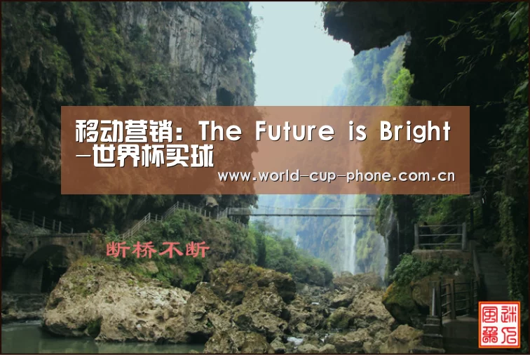 移动营销:The Future is Bright-世界杯买球(图1) 世界杯买球