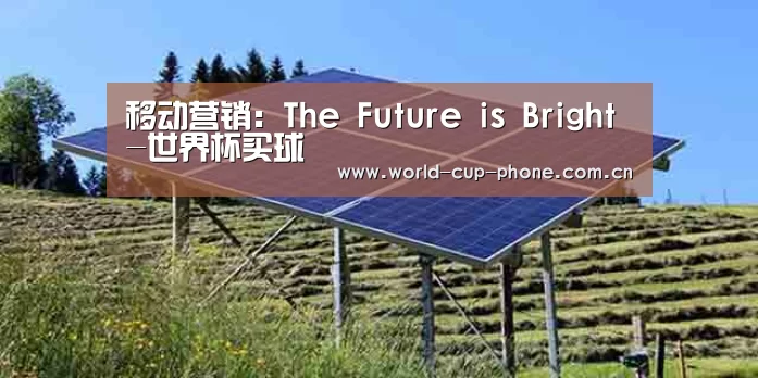 移动营销:The Future is Bright-世界杯买球(图2) 世界杯买球