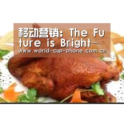 移动营销:The Future is Bright-世界杯买球(图4) 2026世界杯