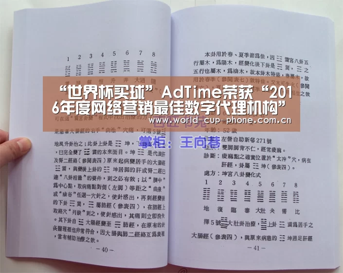 “世界杯买球”AdTime荣获“2016年度网络营销最佳数字代理机构”(图1) 世界杯买球